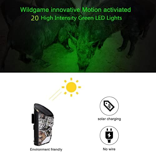 Outdoor Solar Feeder Light for Hunting with Motion Sensor and Green Light for Game Animal Hunting