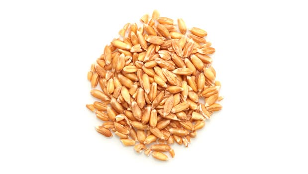 Yupik Organic Spelt Kernels, 2.2 lb (35.2 oz), Non-GMO, Kosher, Vegan, Raw Hulled Grains, Unsalted, Source of Fiber, Ideal for Baking & Cooking