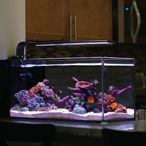 Current USA 24-36" Inch Orbit Marine LED Saltwater Reef Marine Aquarium Light | 24 Hour IR Lighting & eFlux Wave Pump Control | Adjustable Color Spectrum for Fish Tank (4101)