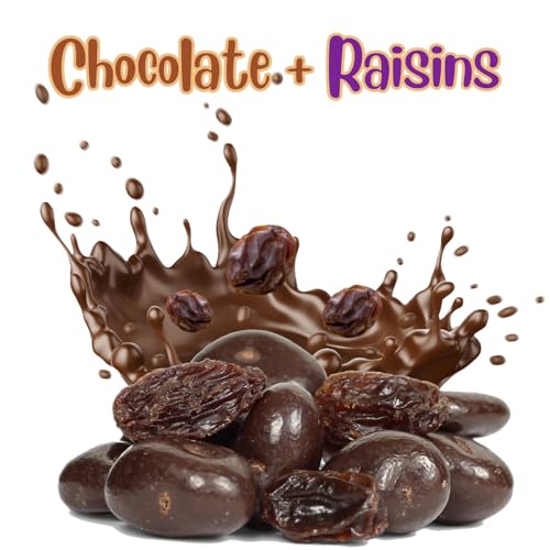 Gourmet Chocolate Covered Raisins by Its Delish, 5 Lbs Bulk Bag | Dark Chocolate with Raisins Healthy Snacking | Dried Raisin Chocolate Candy Snacks | USA Made, Vegan, Kosher Parve