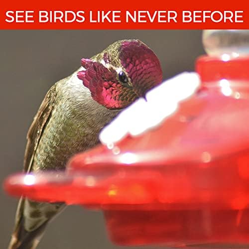 Window Hummingbird Feeder, Suction Cup, Hummingbird Feeders for Outdoors