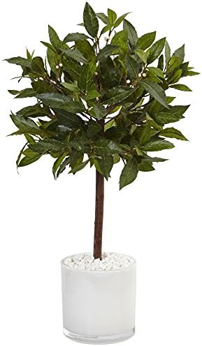 Nearly Natural 2ft. Sweet Bay Artificial Tree in White Glossy Cylinder