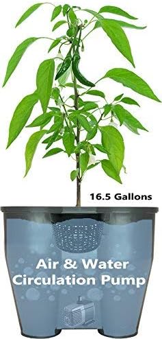 16.5 Gallon Deep Water Culture (DWC) Hydroponic Growing System Complete Kit (1)