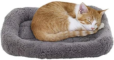 LESYPET Cat Bed for Indoor Cats, Soft Cat Cushion with Cat Pillow Around, Rectangle Kitten Pad Small Bed for Window Sill, 15'' x 10''