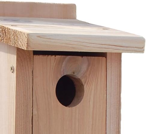 Woodlink NABB Audubon Cedar Bluebird House