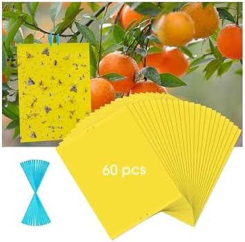 40 Pack Fungus Gnat Traps, Yellow Sticky Fruit Fly Traps for Indoor Plants