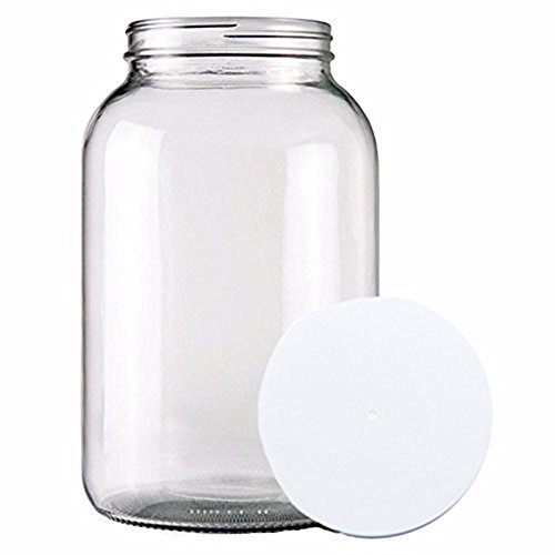 Home Brew Ohio One Gallon Wide Mouth Glass Jar and Lid for Vinegar Making