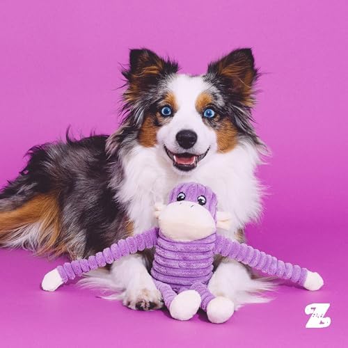 ZippyPaws Crinkle Monkey for Small and Medium Dogs - Small, Purple | Interactive Dog Toys to Keep Them Busy, Squeaky Plush Pet Toy for All Breeds