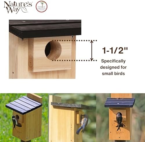 Nature's Way Bird Products CWH4 Cedar Bluebird Viewing House