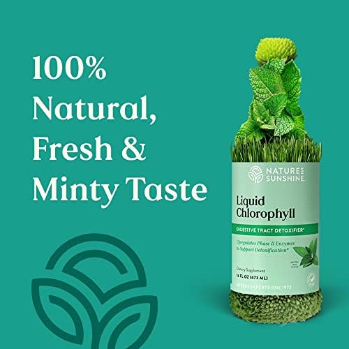 Nature's Sunshine Liquid Chlorophyll Extra Strength - Immunity Support, Detox & Cleanse, Chlorophyll Liquid Drops with Spearmint Oil, Natural Energy Boost, Internal Deodorant - 16 Fl Oz