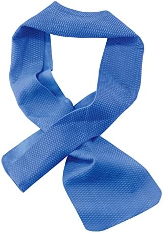 Ergodyne 6603-2PK Chill Its 6603 Cooling Neck Wrap, Long Lasting Cooling Relief, 2-Pack,Blue
