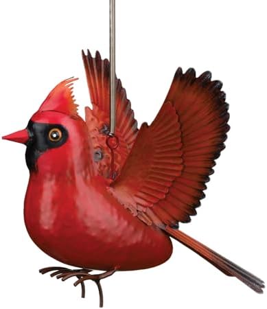 Regal Art & Gift Bird Bouncie, Hand-Painted Metal Spring Garden Decor