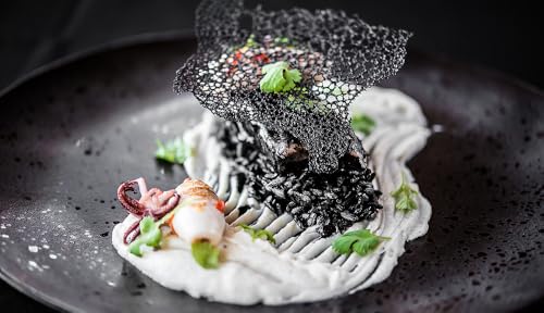 Nortindal Squid Ink - 1.1 Pounds (500 grams) Jar of Ink (Flavoring) from Cuttlefish (Greece) with Sea Salt Taste