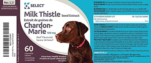 Milk Thistle for Dogs, 100mg - 60 Vegetable Capsules - Canine Liver Health Milk Thistle Supplement - Milk Herbal