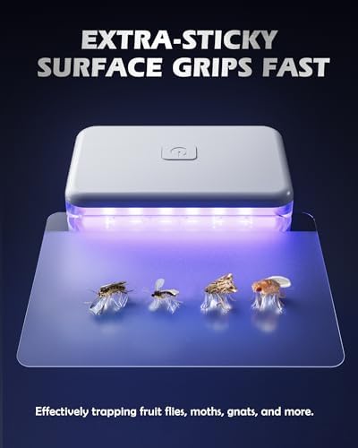 LFSYS 2 Pcs Fruit Fly Traps for Indoors (2 Device+10 Refills) Plug in UV Light Fly Trap for Gnats, Fruit Flies, Flying Insects Sleek Design Indoor Safe