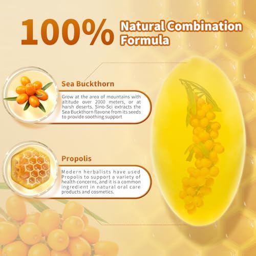 Stomach Care – Helps Reduce Gas & Bloating, Supports Healthy Digestion and Digestive Comfort, 30 Capsules
