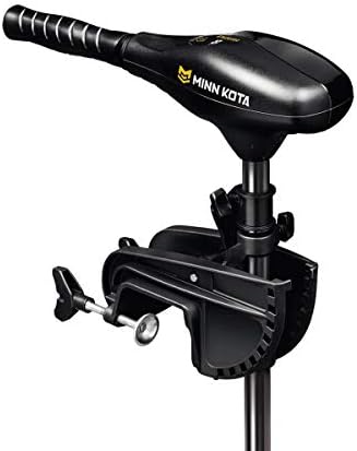 Minn Kota Endura C2 30 Freshwater Transom Mounted Trolling Motor (30" Shaft)