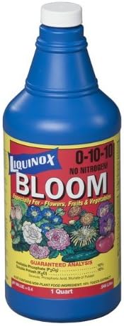 0-10-10 Bloom, 1 quart