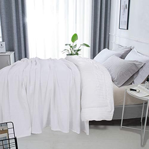 DOLLCENT 100% Cotton Queen Size Blanket for Bed, Premium Soft Combed Lightweight Blankets, Washed Breathable Cozy Bed Throw Blanket, Ivory Queen Cotton Blankets for All Season: Ivory (90"x90")