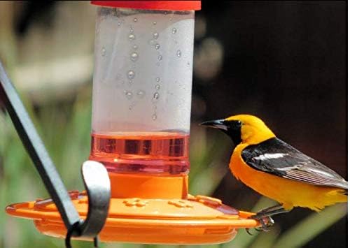 First Nature 3088 32-ounce Oriole Feeder (2 Pack)