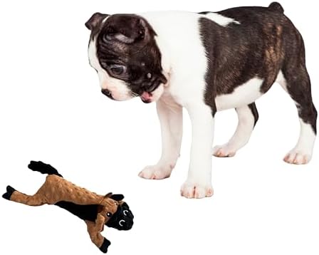 SPOT Skinneeez Extreme Stuffers Frog - Stuffing Free Dog Toy With Squeaker & Rip Stop Mesh Lining for Durability - Insert Plastic Bottle for Extra Crunch, For Small to Medium Puppies & Dogs - 14in