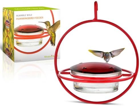 Hummingbird Feeder for Outdoors Hanging, 3.4 OZ Hummingbird Feeders, Glass Bowl with 4 Feeding Ports, Leak Proof Lid & Circular Perch, Bird Feeder (1, Red)