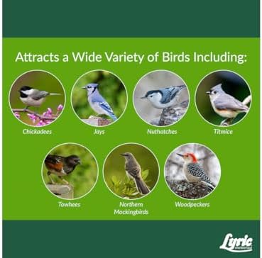 Lyric Woodpecker Wild Bird Seed for Outside Feeders, Shelled, No Waste Bird Seed with Nuts & Dried Fruit, 5 lb Bag | For outside feeders, shelled