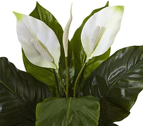 Nearly Natural 26 in Artificial Peace Lily Glass Planter Office Room Decor | Thick Bountiful Leaves, Premium Quality Materials