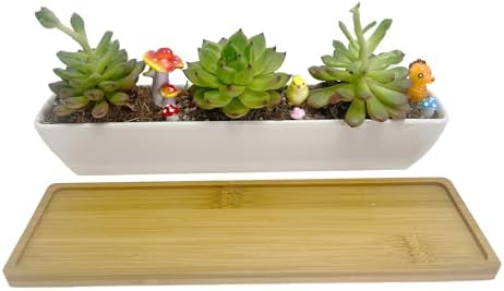 11inch Long Rectangle White Ceramic Succulent Planter Pots,with Bamboo Saucers. Product Size:11x2.23x1.69inch.
