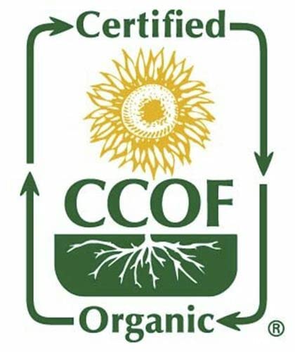McCabe Organic Natural Sesame Seed - Organic Raw Sesame Seeds 1.5lbs | Rich with Fiber & Minerals | USDA and CCOF Certified | Packed in USA