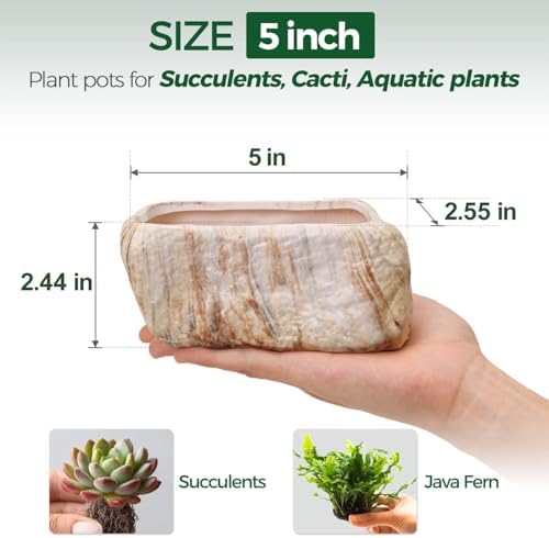 T4U 5.5 Inch Ceramic Succulent Pot Planter with Drainage Hole Set of 3