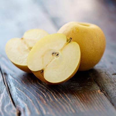 Brighter Blooms - Shinseiki Asian Pear, 5-6 Feet - Live Fruit Plant - No Shipping to AK, AZ, CA, HI, ID, LA, WA