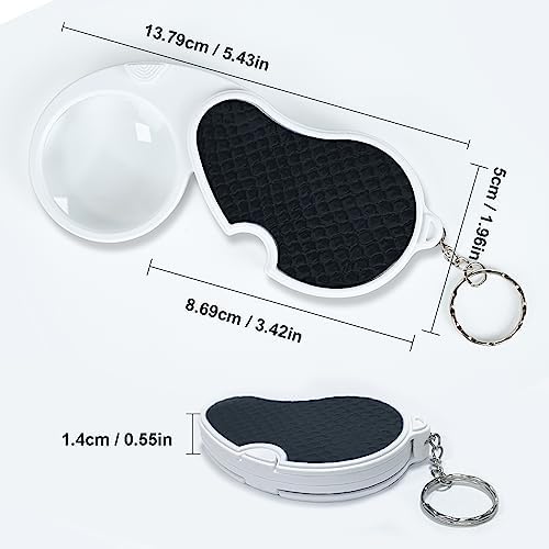 TECHSHARE Magnifying Glass with Light, Lighted Magnifying Glass