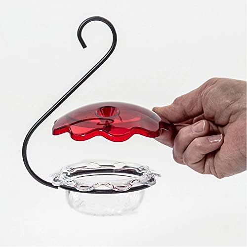 Birds Choice Hummerfest Hummingbird Feeder with Weatherguard | 12oz, Red | Built-In Ant Moat Protects Nectar, Rain Cover Keeps Feed Fresh, Easy to Fill and Clean