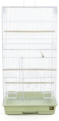 Prevue Pet Products SPECONO1818H-SG Tall Tiel Cage, Sage Green