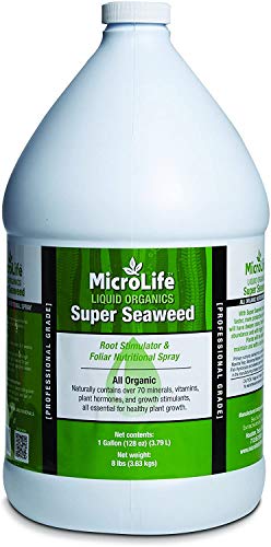 MicroLife Super Seaweed Professional Grade Organic Liquid Concentrate Root Stimulator & Foliar Nutritional Spray for All Plants, 1 Gallon