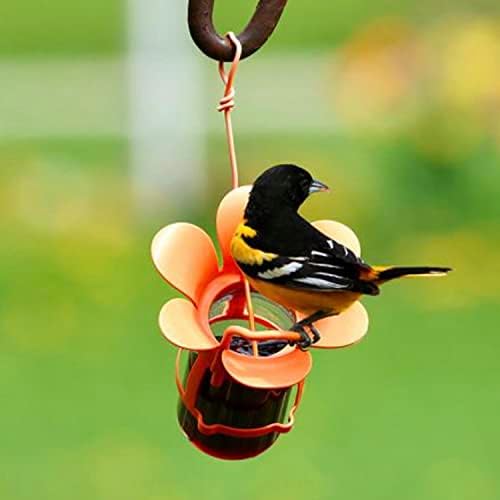 Glass Jelly and Jam Bird Feeder, Hanging Oriole Treat Dish | Jelly and Jam Feeder; Glass Dish; Hanging Design; Attracts Orioles