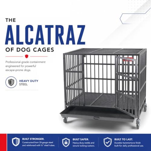 ProSelect Empire Cages - Medium