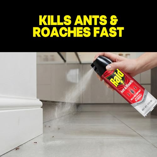 Raid Ant & Roach Killer 26, Fragrance Free Bug Killer for Home Use, Kills Bugs on Contact, 17.5 Oz, 2 Count