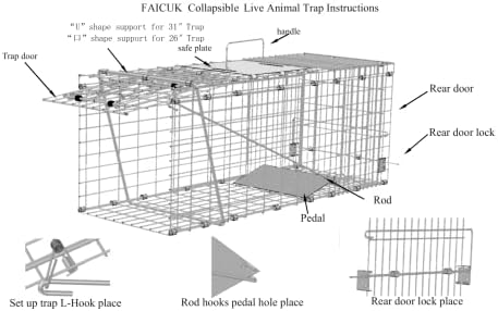 Faicuk Large Collapsible Humane Live Animal Cage Trap for Raccoon, Opossum, Stray Cat, Rabbit, Groundhog and Armadillo 32 x 11 x 13 Inch