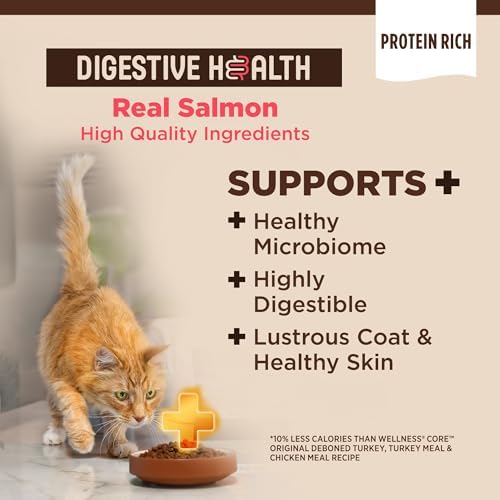 Wellness CORE+ Adult Dry Cat Food, Natural, Wholesome Grains Kibble, Digestive Health Chicken and Rice Recipe, 5 lb Bag