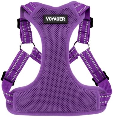 Voyager Step-in Flex Adjustable Dog Harness - Black, Medium | 17 - 21" in Chest, Fully Adjustable, Reflective Bands, All Weather Breathable Air Mesh, Lightweight, Fast Drying