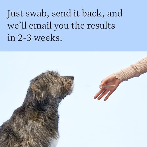 Wisdom Panel Breed Discovery Dog DNA Testing Kit - Most Accurate Dog Breed Identification - Test for 430+ Breeds, MDR1 Health Test, Ancestry
