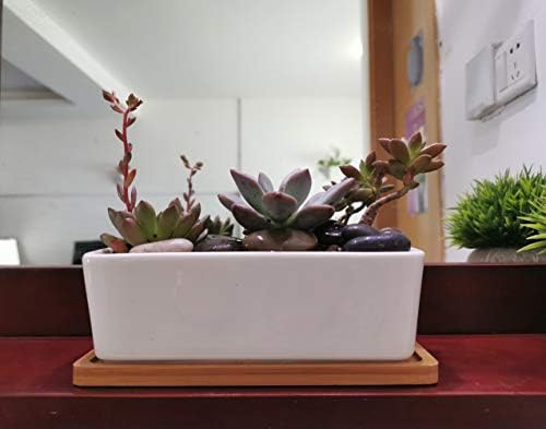 LANKER 6.5 Inch Rectangle White Ceramic Succulent Planter Pot with Bamboo Tray