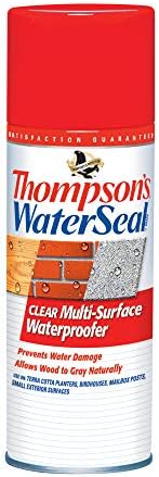 Thompson’s WaterSeal Multi-Surface Waterproofer Stain, Clear, 1 Gallon