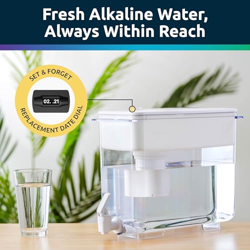 Invigorated Water Alkaline Water Filter Dispenser, 53-Cup Large Capacity