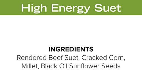 Blue Seal High Energy Suet Cakes for Wild Birds - No Mess Suet Feed, Food for Woodpeckers, Cardinals, Siskins, Sparrows & More - 11oz Suet Feeder