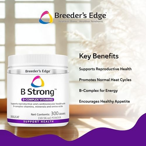 Breeder’s Edge B Strong Powder, B-Complex Vitamin Supplement for Dogs and Cats, Supports Reproductive Health, Promotes Normal Heat Cycles, and Helps Maintain Energy, 300g