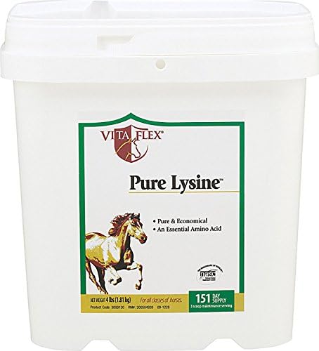 Vita Flex Pure Lysine, 151 Day Supply, 4 lbs | Lysine is recommended for equine diets low in alfalfa