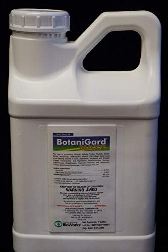 Maxx 1 Gallon Beauveria bassiana